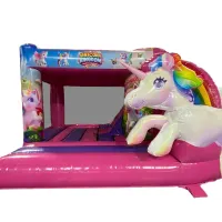 3d Unicorn Bouncy Castle With Slide For Hire In Spalding Lincolnshire
