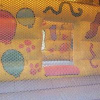 14ft X 16ft Double Bouncer Bouncy Castle