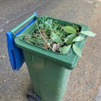 Garden Bin Collection