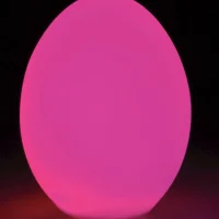 Egg Light