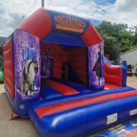 15ft X 15ft Frozen Themed Bouncy Castle