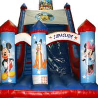 15ft X 15ft Rodeo Bull(4 Hours) & 24ft X15ftx28ft Disney Megga Slide & 50ft X 10ft Jungle Book Assault Course & 15ft X 17ft Harry Potter Slide & 21ft X 15ft  Disney Theme Slide &10ft X 9ft  Ball Pool