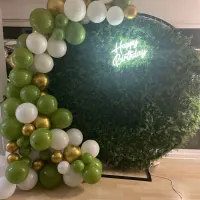 Balloon Backdrops