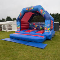 Adult Party Bouncy Castle