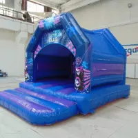 Disco Castle