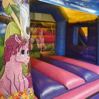 14ft X 16ft Unicorn Bounce And Slide