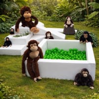 Themed Soft Play