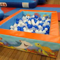 Ultimate Under The Sea Party Package