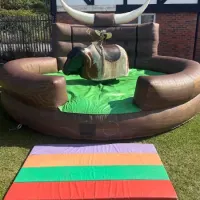 Rodeo Bull