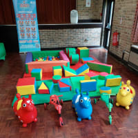3d Dinosaur Bouncy Castle And Soft Play Package