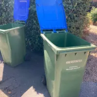 Bin Collection