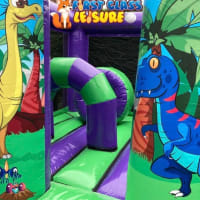Dinosaur Midi Bouncer