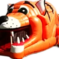 Tiger Assault Course