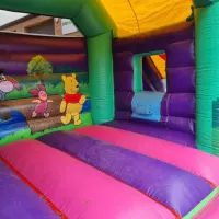 14ft X 16ft Winnie The Pooh Bounce And Slide