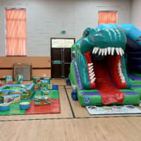 Dinosaur Party Package