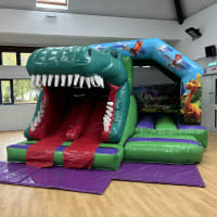Dinosaur 3d Twin Slide Bouncy Castle