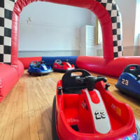 Electric Bumper Cars