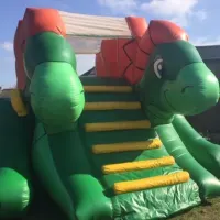 3d Green Orange Dinosaur Slide