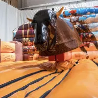 Rodeo Bull - Bucking Bronco