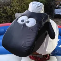 Rodeo Bull  Ride Covers