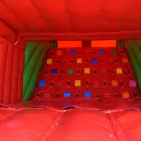 Lizard Obstacle Course