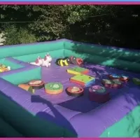 Inflatable Play Area Plus Soft Play