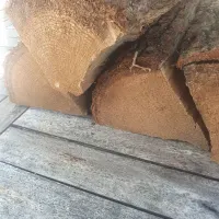 Kiln Dried Oak Bag