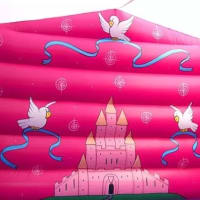 Princess Castle  Slide