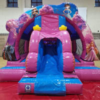 3d Front Slide Carriage Disco Princess