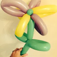 Balloon Modelling