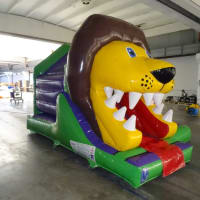 3d Jungle Front Slide Combi