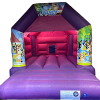 Pink And Purple Bouncy Castle 11ft X 15ft