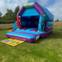Dinosaur Themed Purple And Blue Bounce And Slide