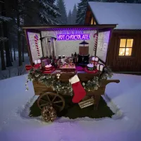 Xmas Sleigh Hire Santa Sleigh Hire Father Xmas Sleigh