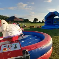 Rodeo Bull  Ride Covers
