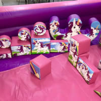 Unicorn Soft Play Surround