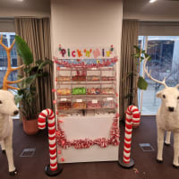 Lifesize Reindeer Props