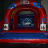 24ft X28ft X15ft Disney Megga Slide & 40ft Assault Course & Rodeo Bull(4 Hours) & 15ft X 21ft Disney Theme Slide Castle