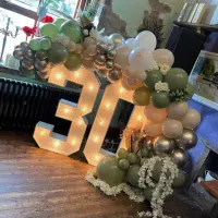 4ft Led Numbers