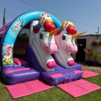 Unicorn Slide Bouncy Castle Southend-on-sea Essex