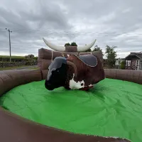 Mechanical Rodeo Bull