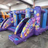 Double Slide Activity Bouncer