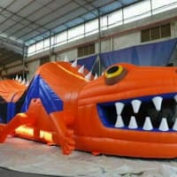 Lizard Obstacle Course 0b 08