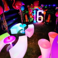 Vip Lounge Disco And Dance Package