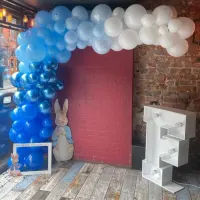 Themed Balloon Arch