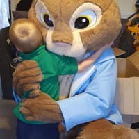 Peter Rabbit Mascot Hire
