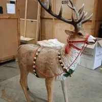 Xmas Sleigh Hire Santa Sleigh Hire Father Xmas Sleigh