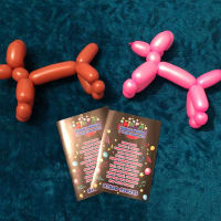 Balloon Modelling Package