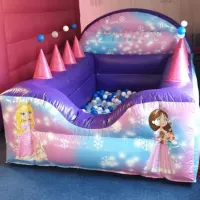 3d Ultimate Princess Party Package