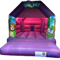 Pink And Purple Bouncy Castle 11ft X 15ft
